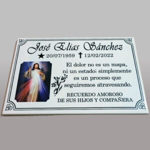 Placa de cerámica 20x30cm
