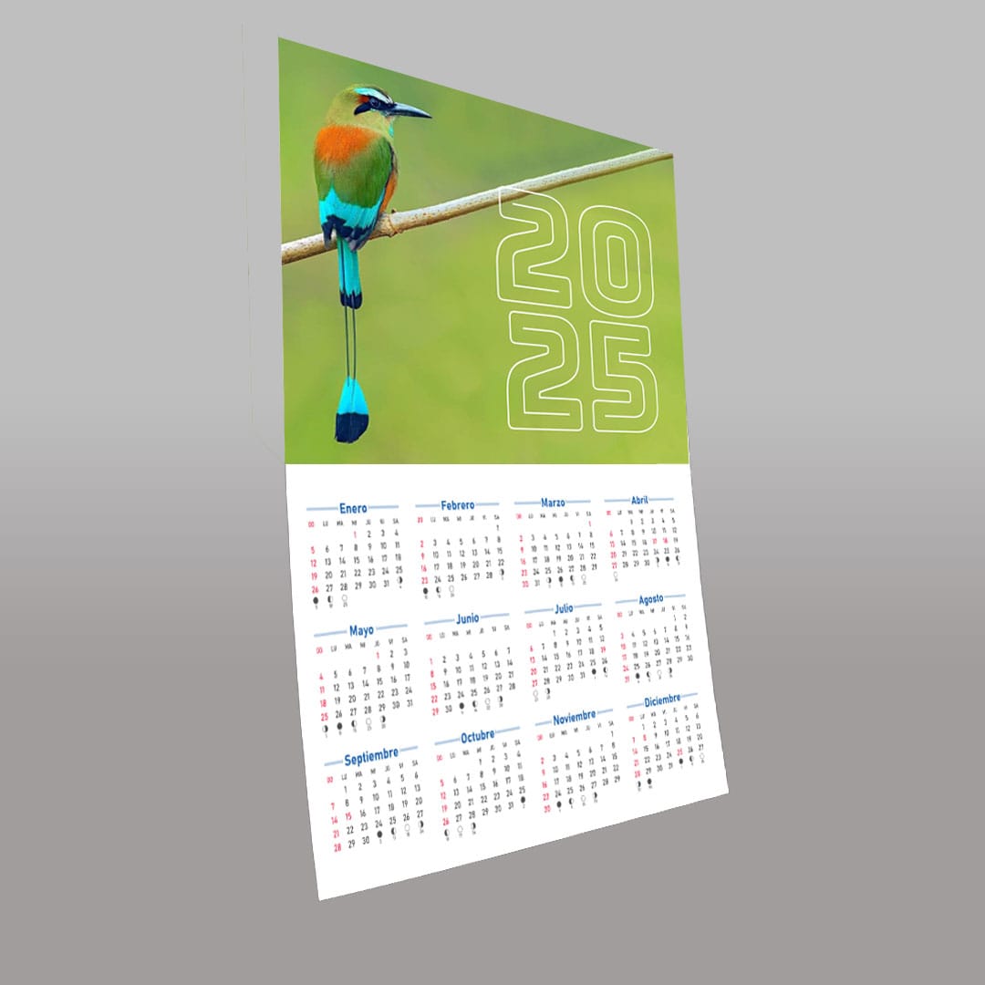 Calendarios de pared tipo afiche